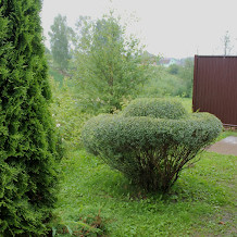 square