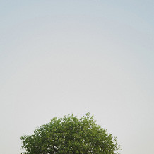 square