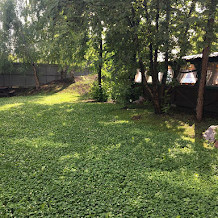 square