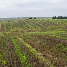 square