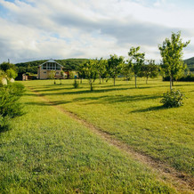 square
