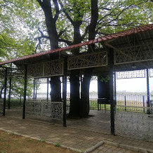 square
